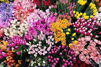 《电锯甜心RePOP》Steam页面上线 2024年9月12日推出