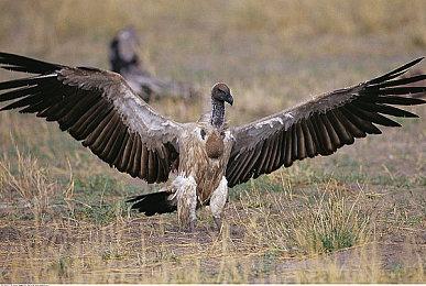 悬疑叙事解谜游戏《孙美琪疑案》2024试玩版现已登陆Steam新品节