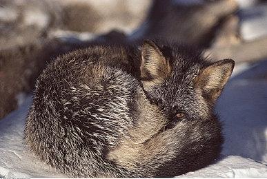 《琉隐无界》即将解锁 新武器重锤雷殇对战演示