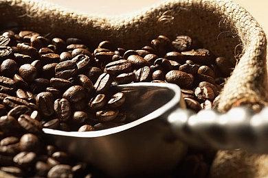 宝可梦直面会汇总：《宝可梦传说Z-A》曝中文宣传片